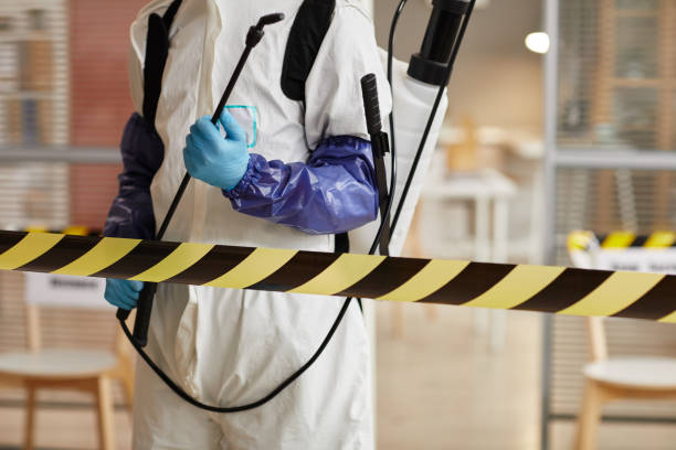 Professional Sewage Cleanup technician working in O'Fallon, IL