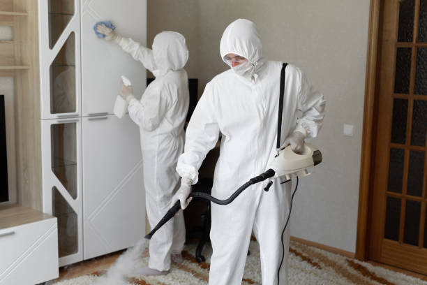 24/7 Emergency Sewage Cleanup experts in O'Fallon, IL